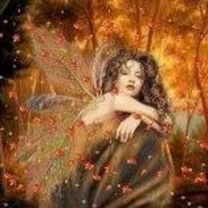 Meet your Posher, Jessie